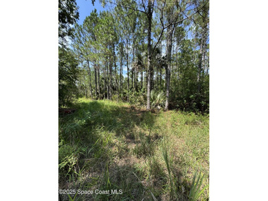 Welcome to your private slice of country paradise. Nestled on 39 - photo 41