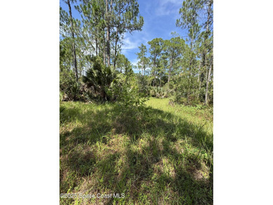 Welcome to your private slice of country paradise. Nestled on 39 - photo 43