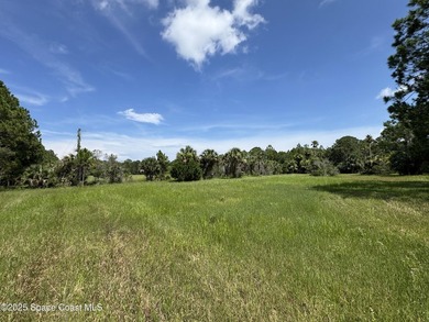 Welcome to your private slice of country paradise. Nestled on 39 - photo 45