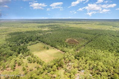Welcome to your private slice of country paradise. Nestled on 39 - photo 46