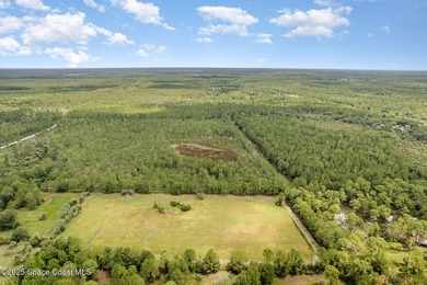 Welcome to your private slice of country paradise. Nestled on 39 - photo 47