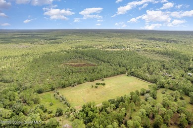 Welcome to your private slice of country paradise. Nestled on 39 - photo 48