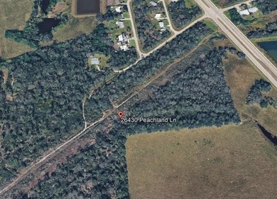 Prime commercial lot located within the Future Airport Commerce - photo 7