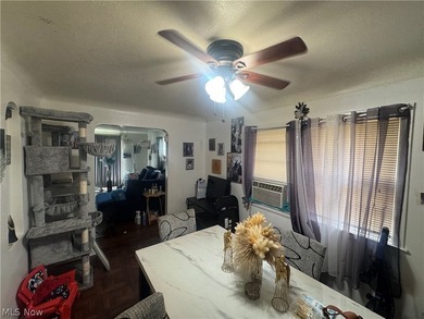 Investor opportunity in the heart of Euclid! This - photo 8