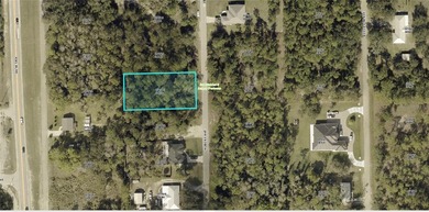 Lehigh Acres Area Lot For Sale in Alva Florida