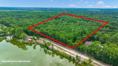 Lake Acreage For Sale in Hollywood, South Carolina