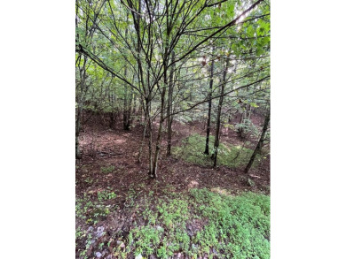 Lake Lot For Sale in Hayesville, North Carolina