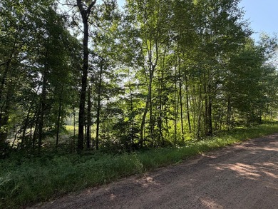 Buildable Lot in Minocqua! With some clearing already done, this - photo 2