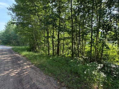 Buildable Lot in Minocqua! With some clearing already done, this - photo 3