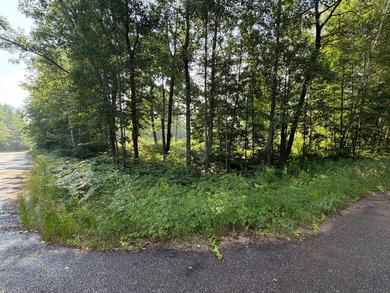 Buildable Lot in Minocqua! With some clearing already done, this - photo 4