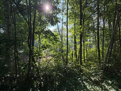 Buildable Lot in Minocqua! With some clearing already done, this - photo 5
