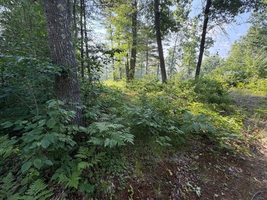 Buildable Lot in Minocqua! With some clearing already done, this - photo 6