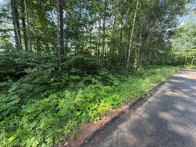 Buildable Lot in Minocqua! With some clearing already done, this - photo 3