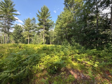 Buildable Lot in Minocqua! With some clearing already done, this - photo 4