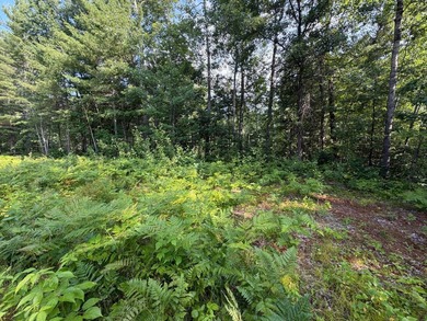 Buildable Lot in Minocqua! With some clearing already done, this - photo 5