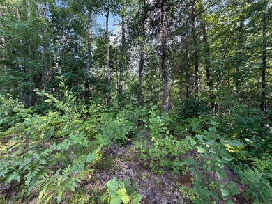 Buildable Lot in Minocqua! With some clearing already done, this - photo 7