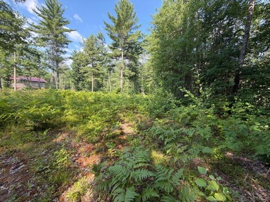 Buildable Lot in Minocqua! With some clearing already done, this - photo 8