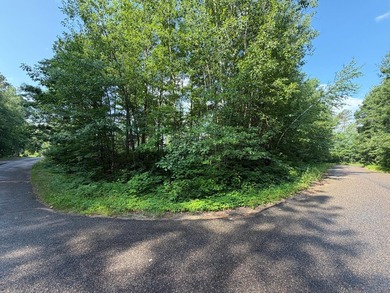 Buildable Lot in Minocqua! With some clearing already done, this - photo 2
