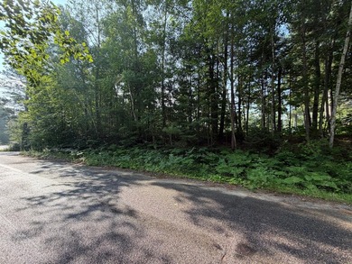 Buildable Lot in Minocqua! With some clearing already done, this - photo 3