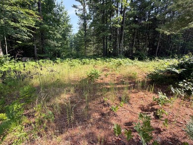 Buildable Lot in Minocqua! With some clearing already done, this - photo 5