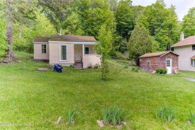 Lake Home Sale Pending in Westerlo, New York