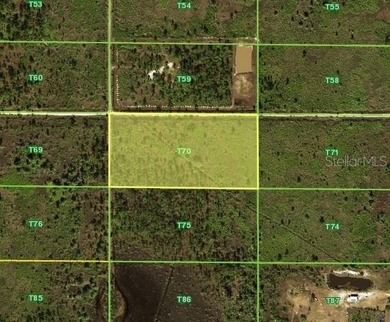 BUILD YOUR DREAM HOME with this 5 ACRE LOT located in Punta - photo 1
