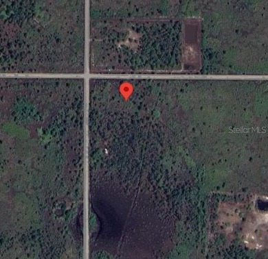 BUILD YOUR DREAM HOME with this 5 ACRE LOT located in Punta - photo 2