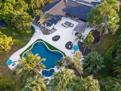 Tropical oasis in the heart of it all! This one-of-a-kind - photo 4