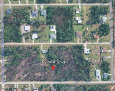 Lehigh Acres Area Lot For Sale in Lehigh Acres Florida