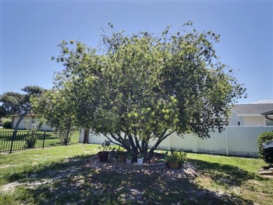 We are pleased to present this dual-primary-bedroom home located - photo 8