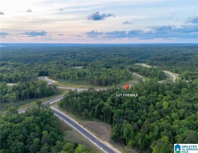 Lake Lot For Sale in Tuscaloosa, Alabama