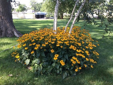 Life is Better on the Fox River! Welcome to this beautifully - photo 35