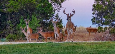 Located on a rare double lot along the 15th fairway of White - photo 38