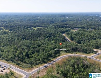 Lake Lot For Sale in Tuscaloosa, Alabama