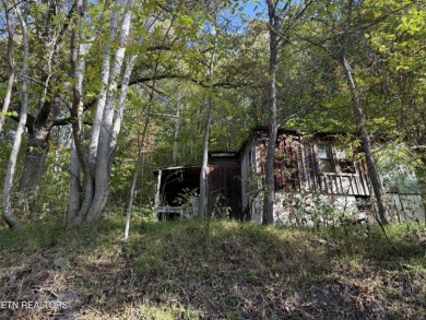 Norris Lake Lot Sale Pending in Lafollette Tennessee