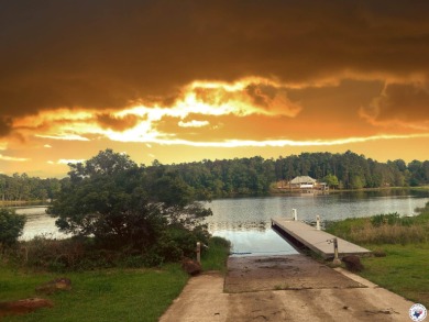 (private lake, pond, creek) Acreage For Sale in Avinger Texas