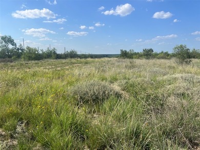 Horse Creek Ranch offers the optimum 1.4 miles of Concho River - photo 4