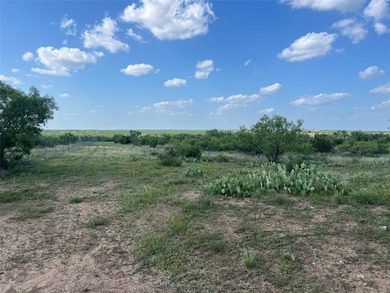 Horse Creek Ranch offers the optimum 1.4 miles of Concho River - photo 5