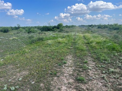 Horse Creek Ranch offers the optimum 1.4 miles of Concho River - photo 6