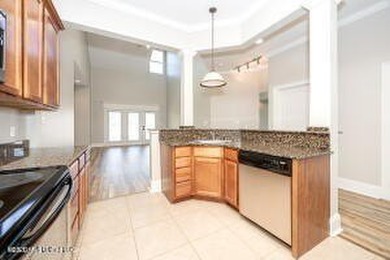 Wow here is your Hope Diamond at 314 Capri Place in Lakeview - photo 26