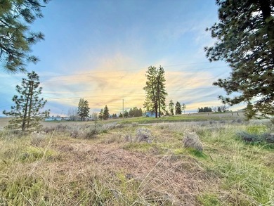 Fantastic opportunity to own a level 0.69-acre residential lot - photo 1