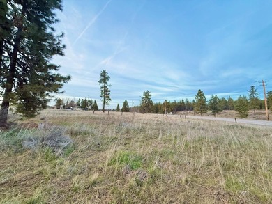 Fantastic opportunity to own a level 0.69-acre residential lot - photo 2
