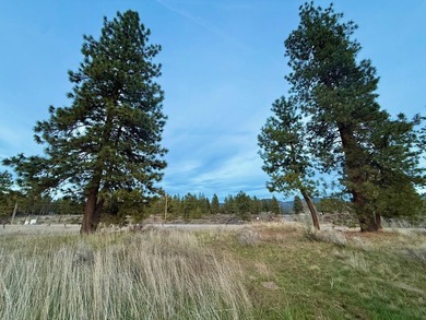 Fantastic opportunity to own a level 0.69-acre residential lot - photo 4