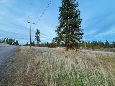 Fantastic opportunity to own a level 0.69-acre residential lot - photo 5