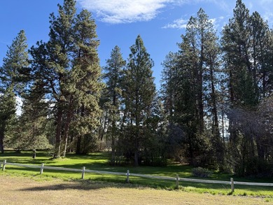 Fantastic opportunity to own a level 0.69-acre residential lot - photo 10