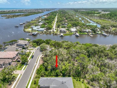 Welcome to Palm Coast Plantation. A desirable waterfront - photo 6