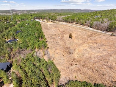 Prime Commercial Opportunity - 13+/- Acres on Highway 259 | - photo 5