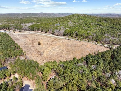 Prime Commercial Opportunity - 13+/- Acres on Highway 259 | - photo 6
