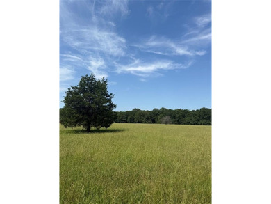 (private lake, pond, creek) Acreage For Sale in Clarksville Texas