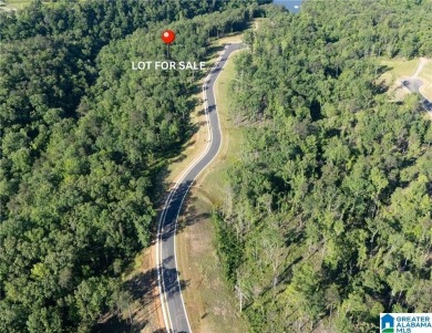 Lake Lot For Sale in Tuscaloosa, Alabama
